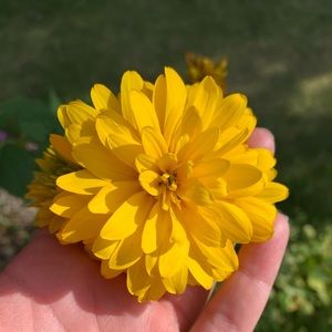 Meet your Posher, Michelle